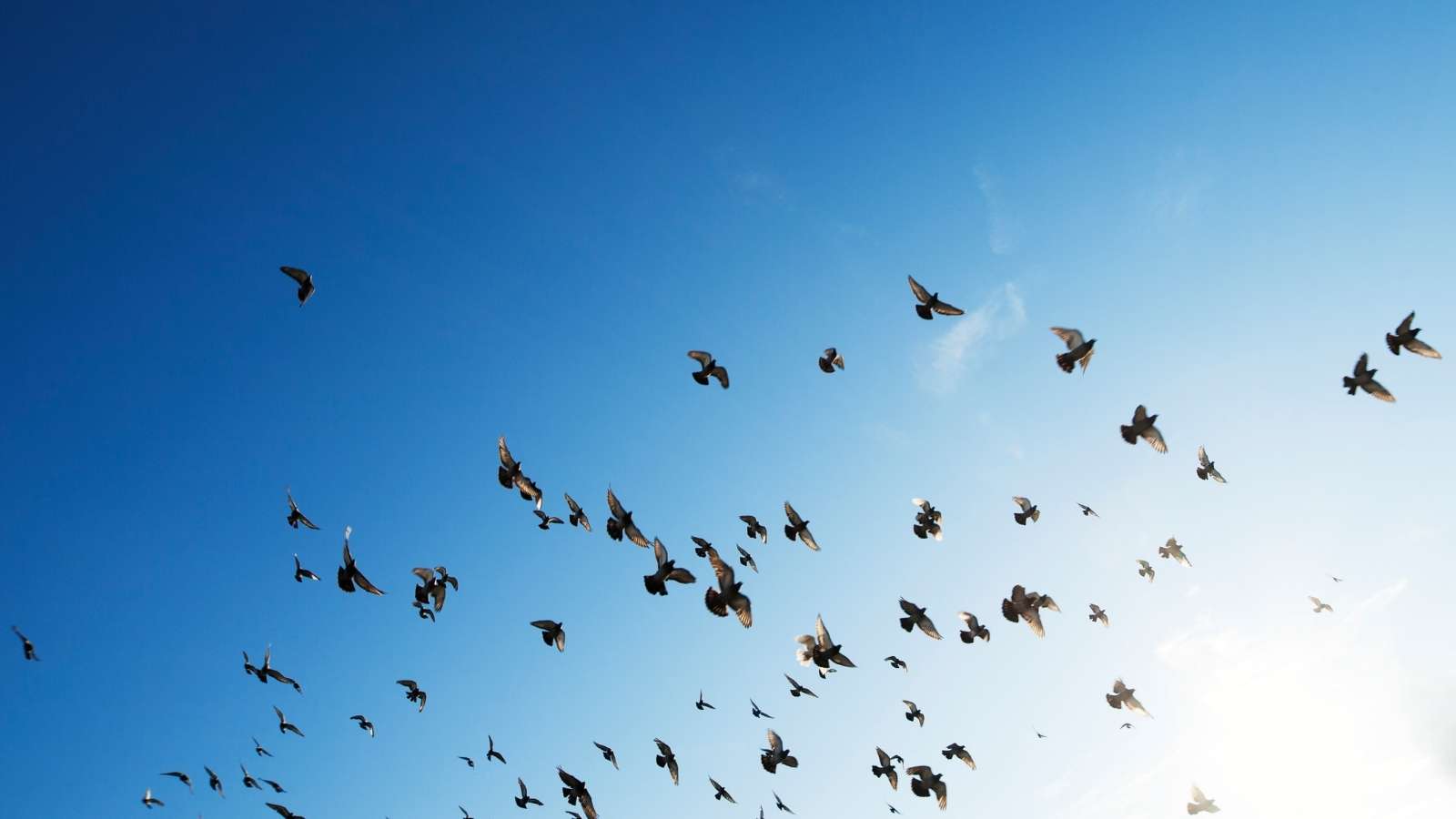 12 weeks emotional health and wellbeing